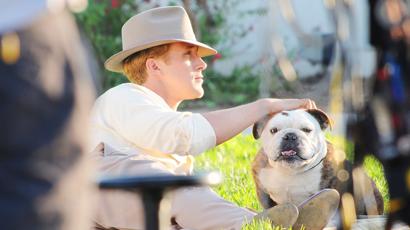 Illustration for article titled And Now A Retro Daydream Starring Ryan Gosling, Emma Stone & A Bulldog